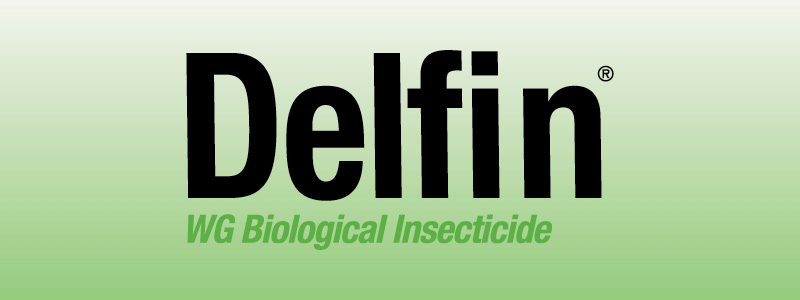 DELFIN WG BIOLOGICAL - Sipcam Australia